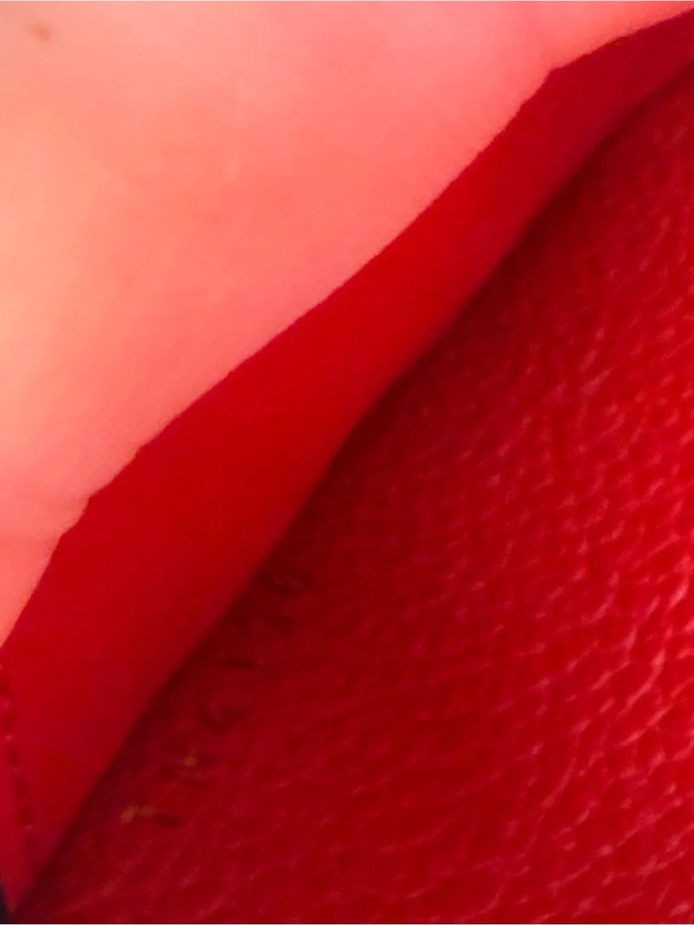 Louis Vuitton Empriente Monogram Zippy Wallet Cherry Red
